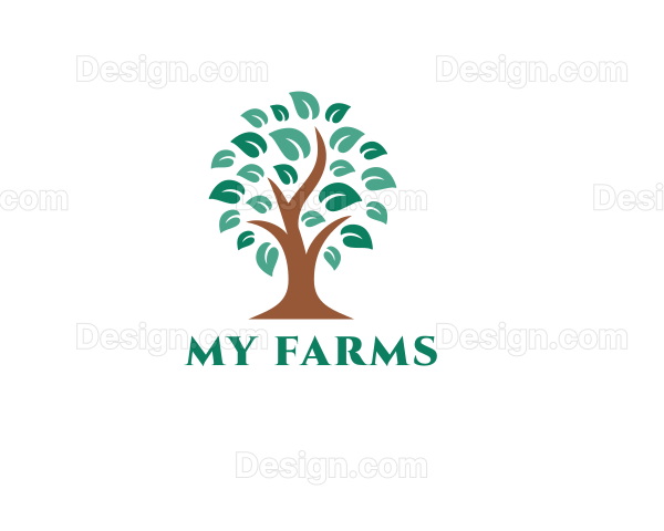 My Farm Fruit and Vegetable